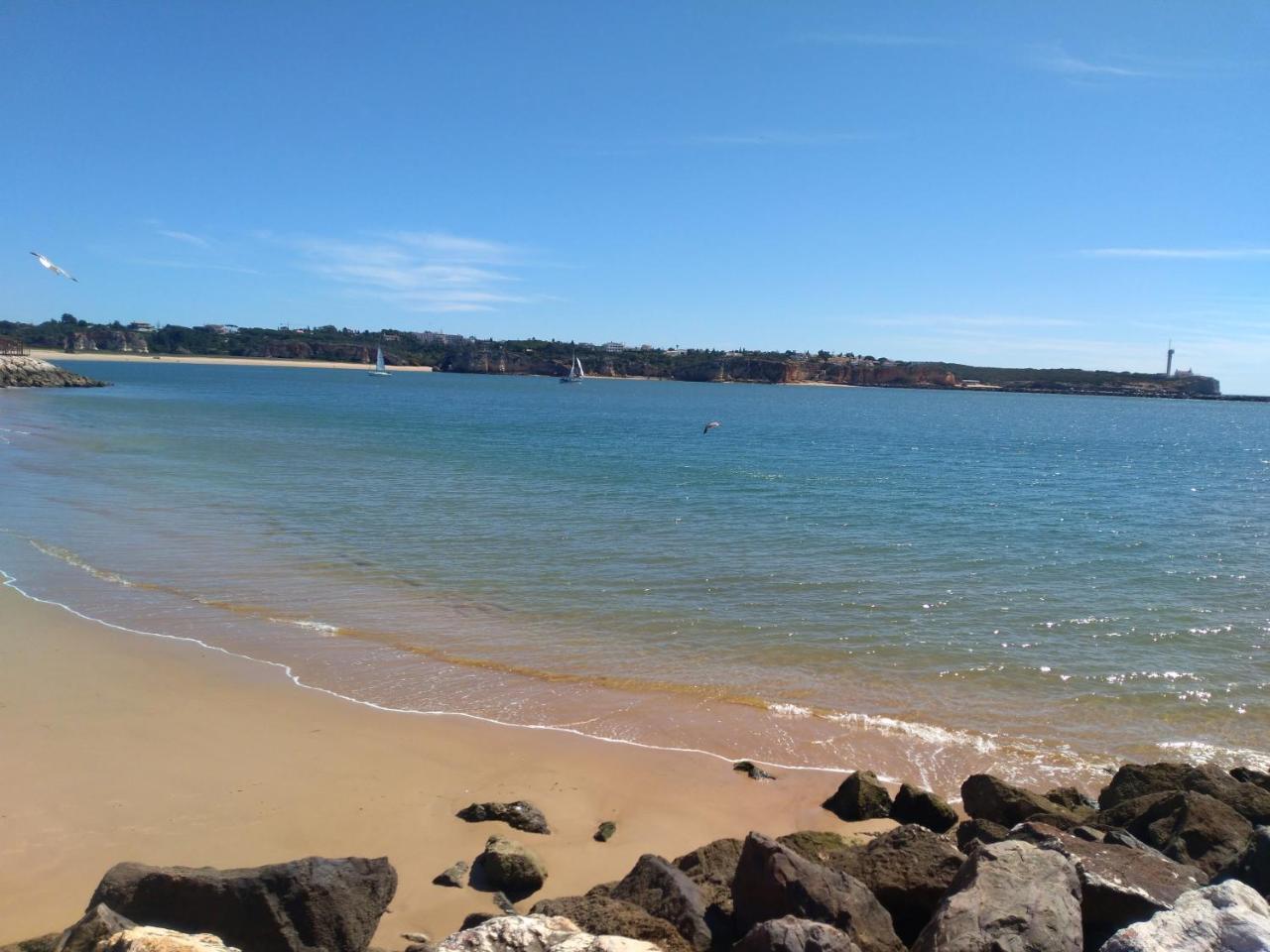 Lita Apartment Portimao Luaran gambar